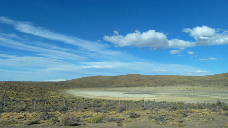 Sitio de recolección de endofitos en Patagonia